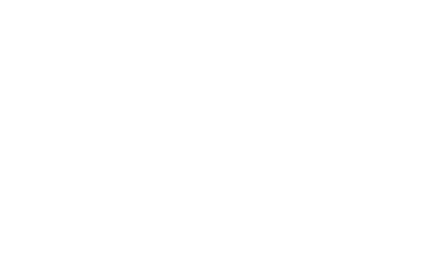 Williams Florist in Stalbridge Logo