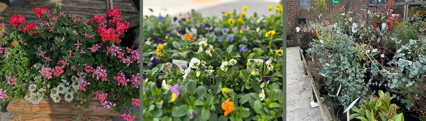 Seasonal bouquets from Williams Florist in Stalbridge offering same-day delivery